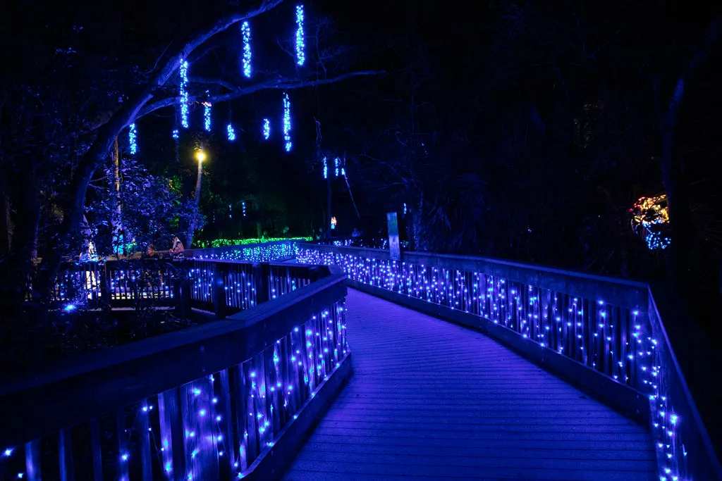 5mm 70L LED Christmas Lights Blue