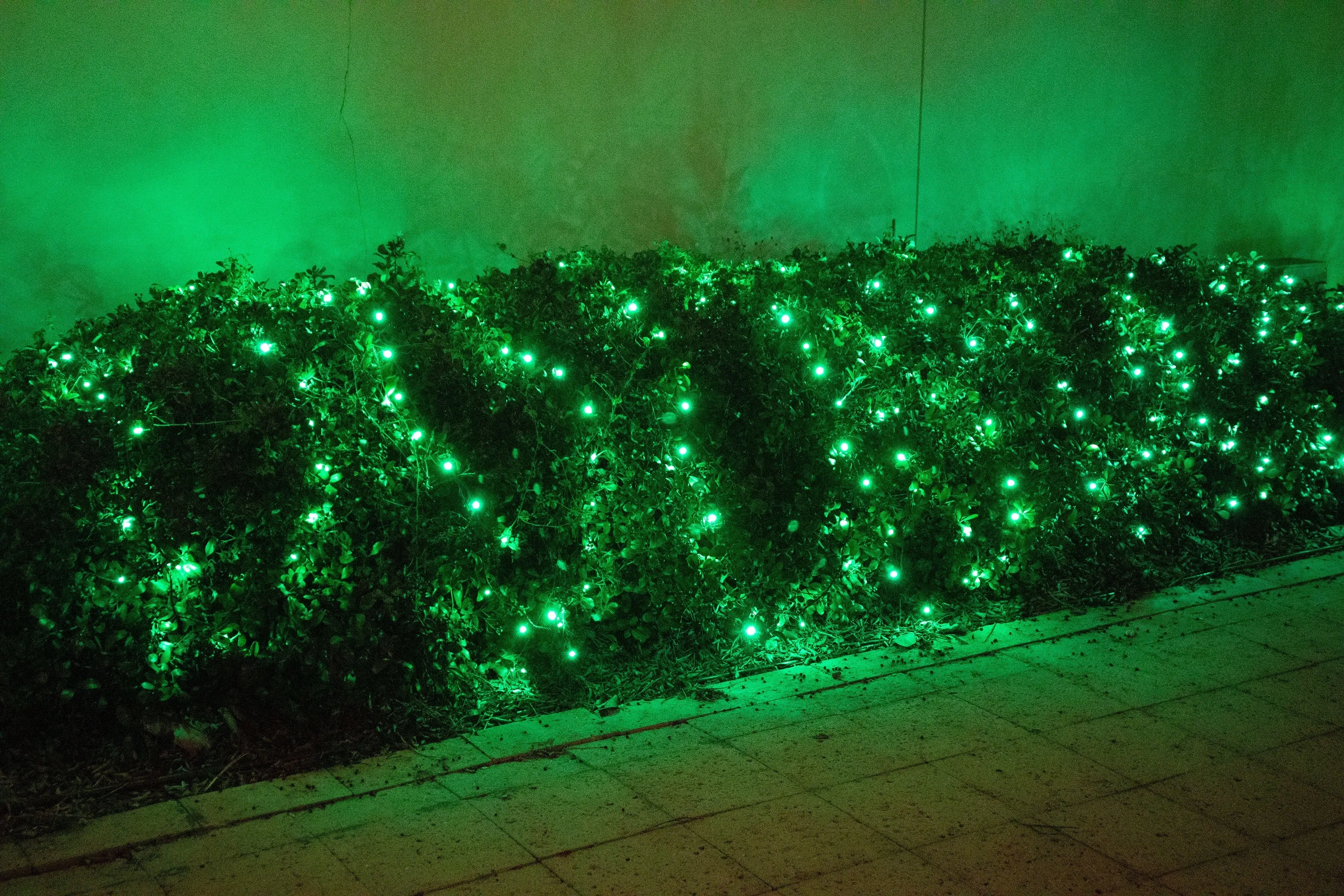 5mm 70L LED Christmas Lights Green