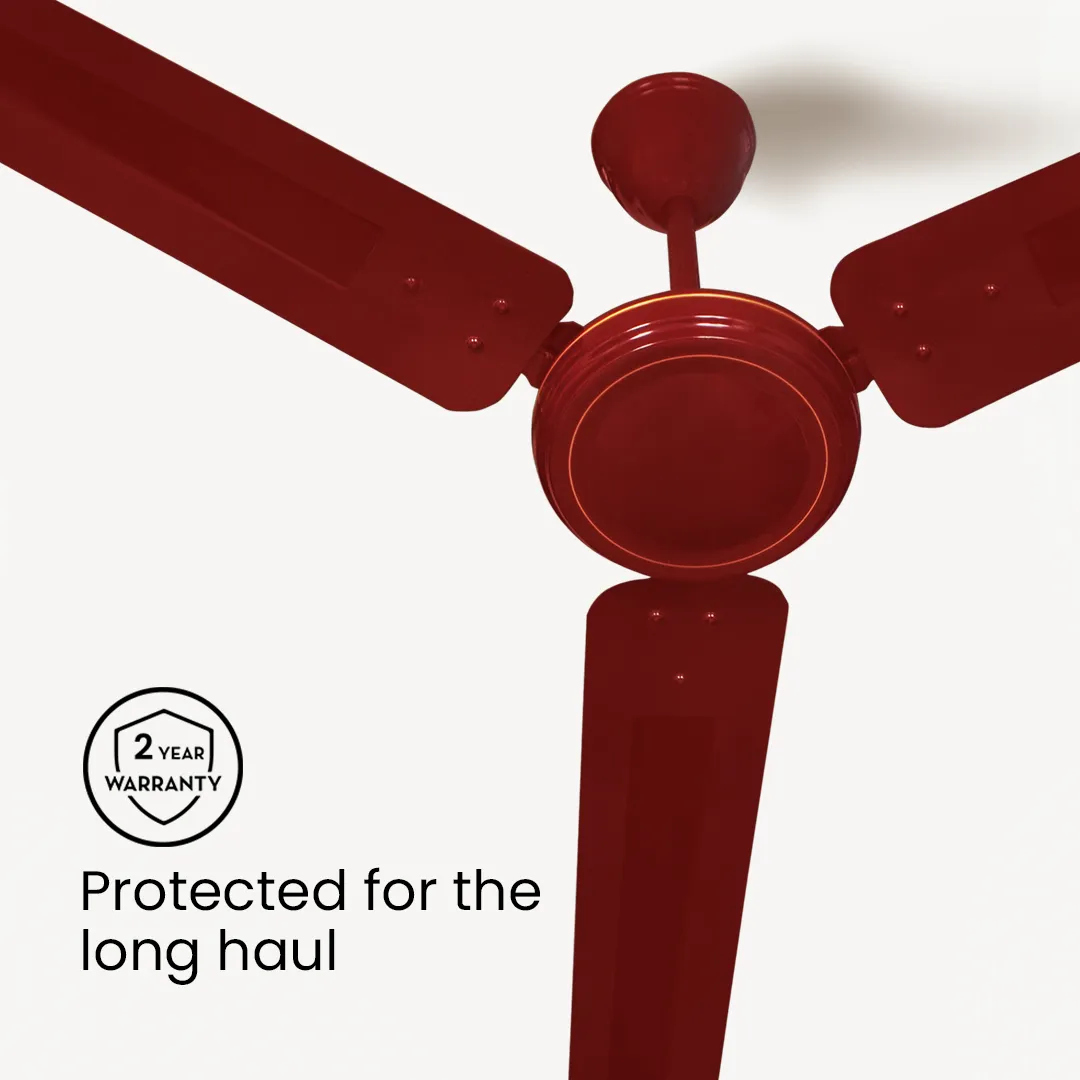 Crompton Surebreeze Gallop| Ceiling Fan