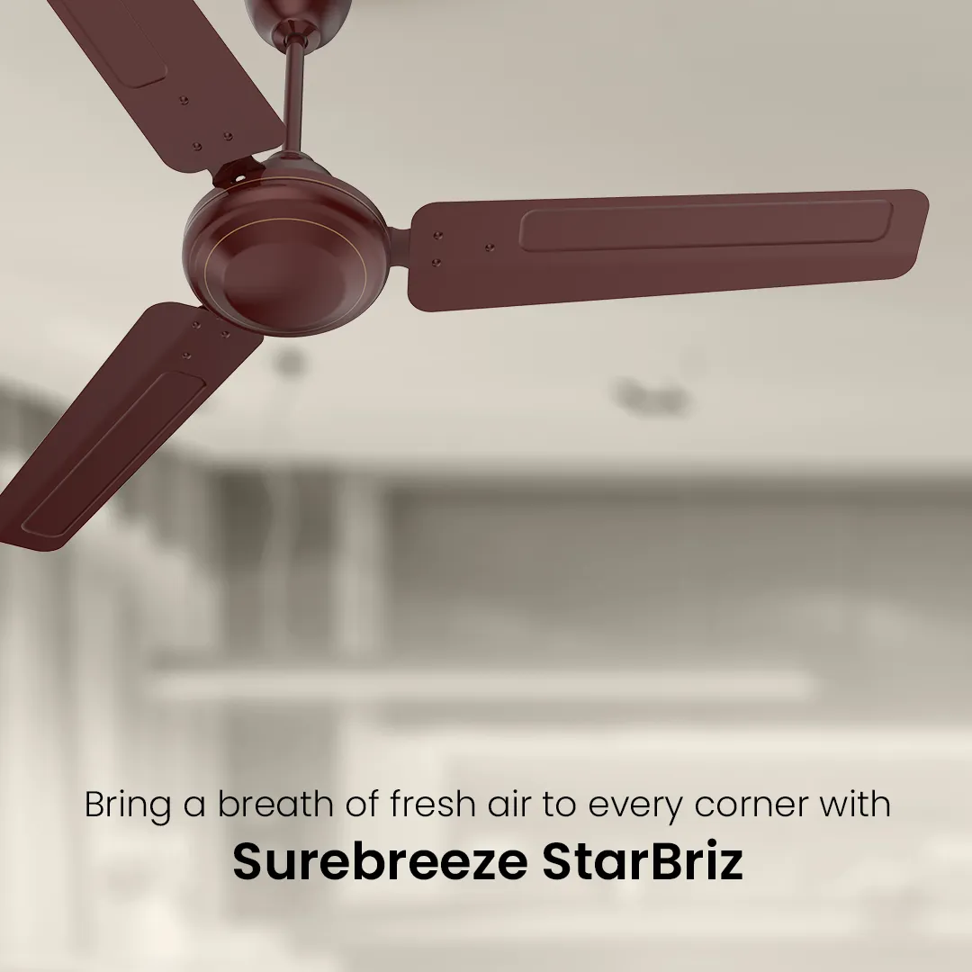 Crompton Surebreeze Starbriz| Ceiling Fan