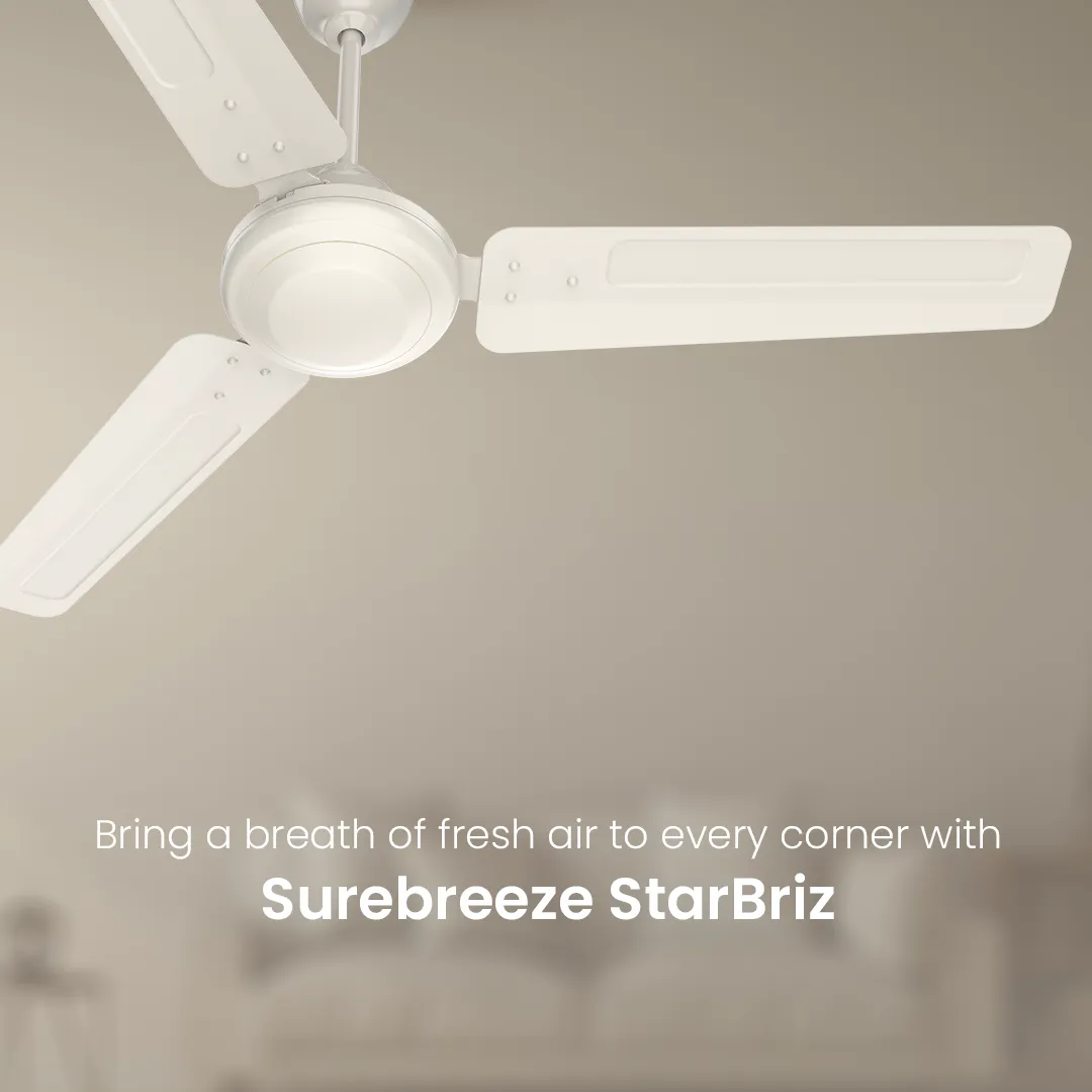 Crompton Surebreeze Starbriz| Ceiling Fan