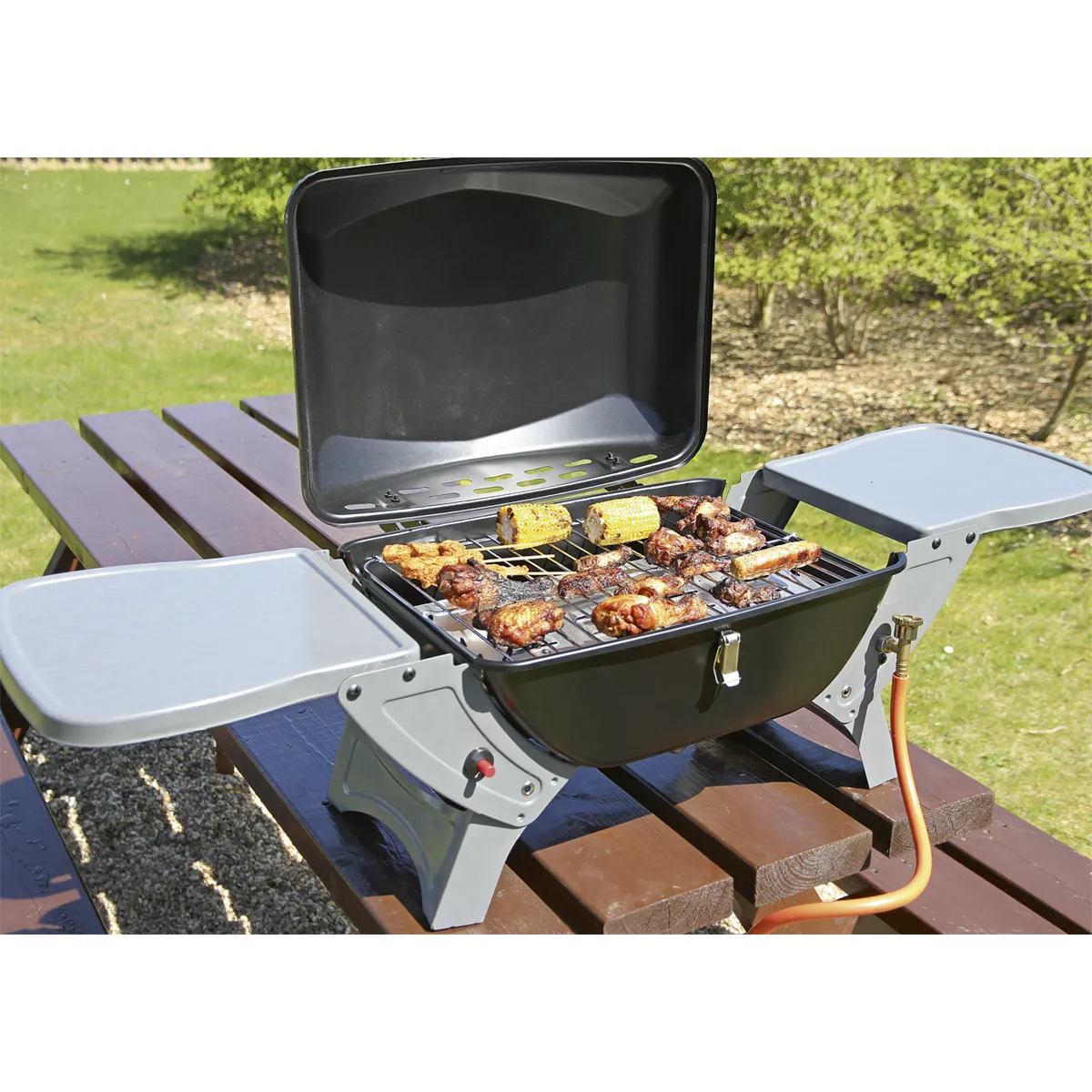 Gas BBQ Portable