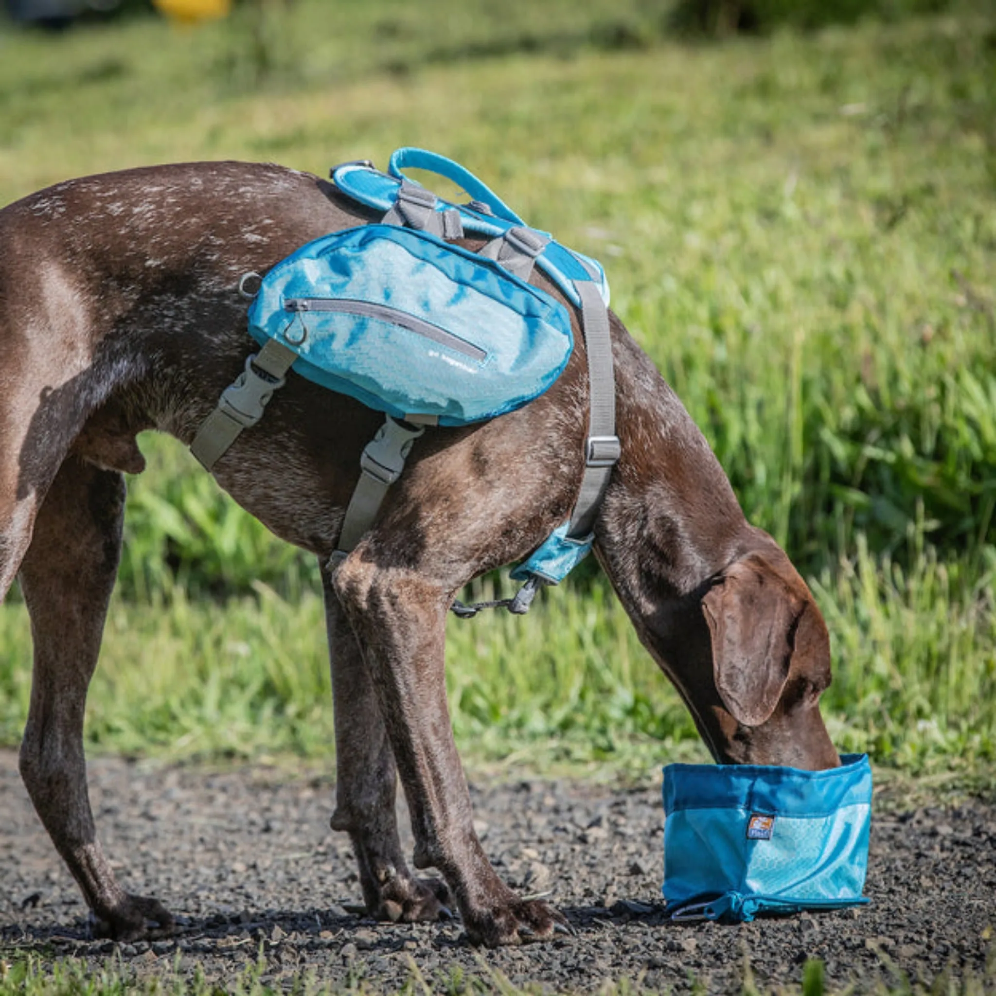 Kurgo Zippy Portable Dog Bowl