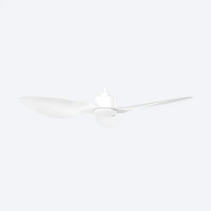 OCVE Modern Decor Fans (NLO)