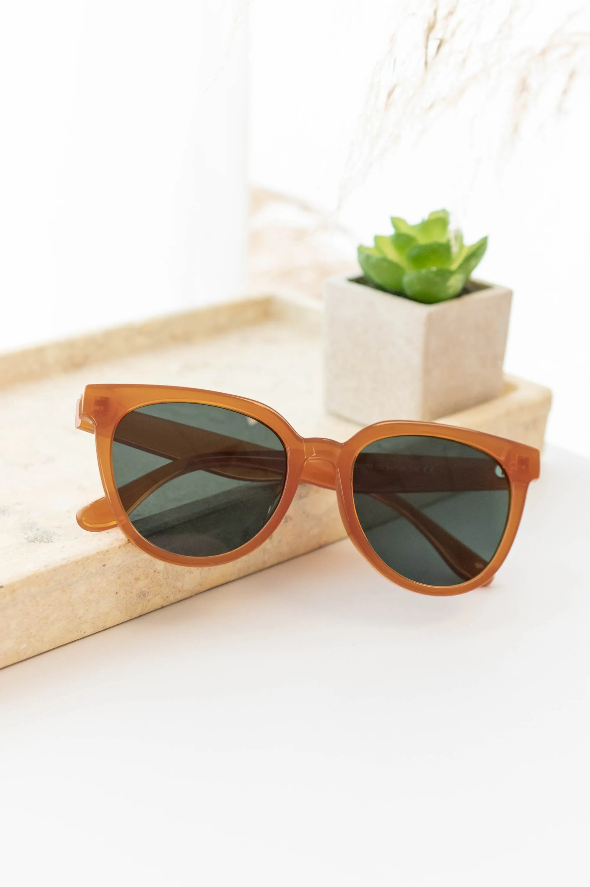 Shady Lady Sunglasses, Brown