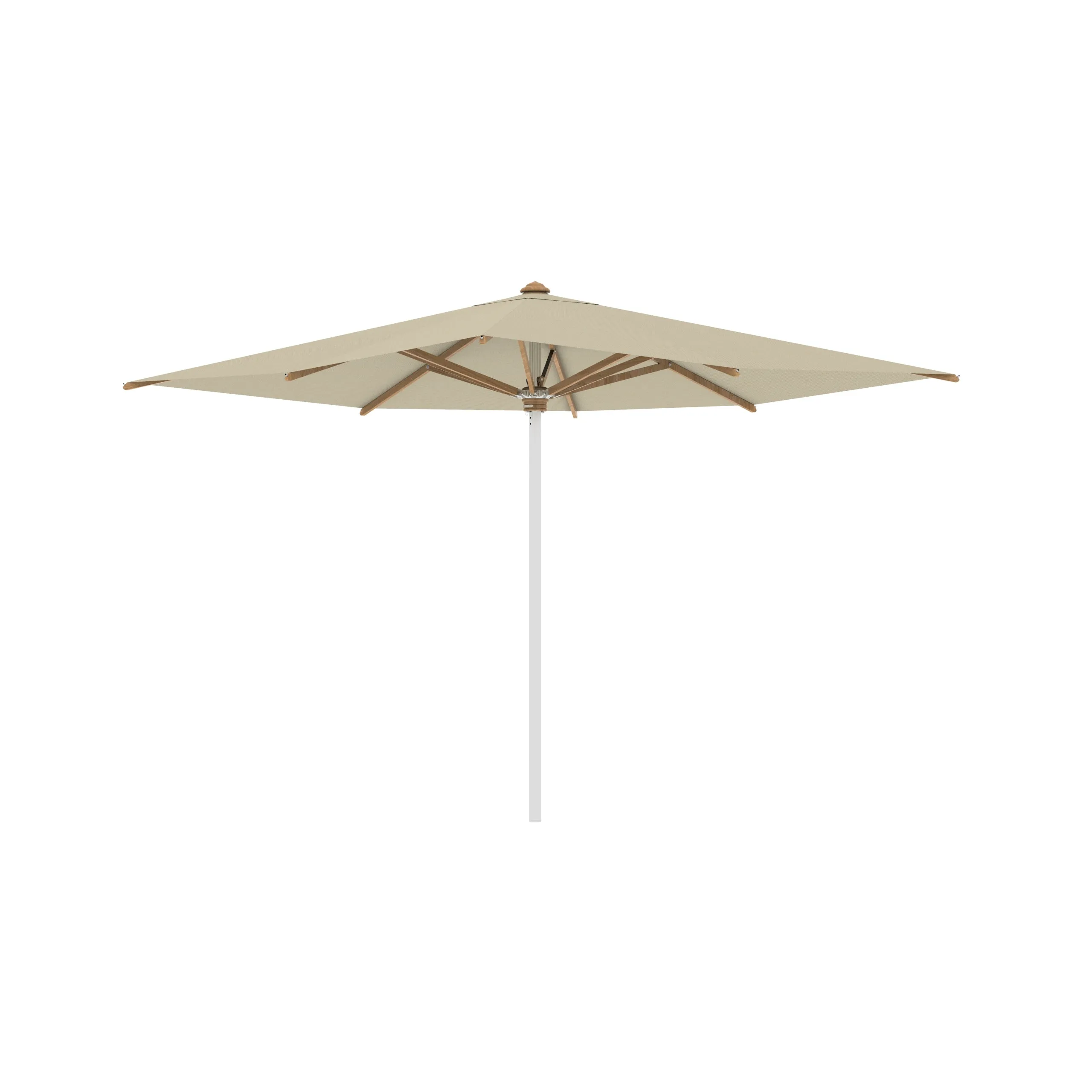 Shady Square Umbrella with Teak Ribs