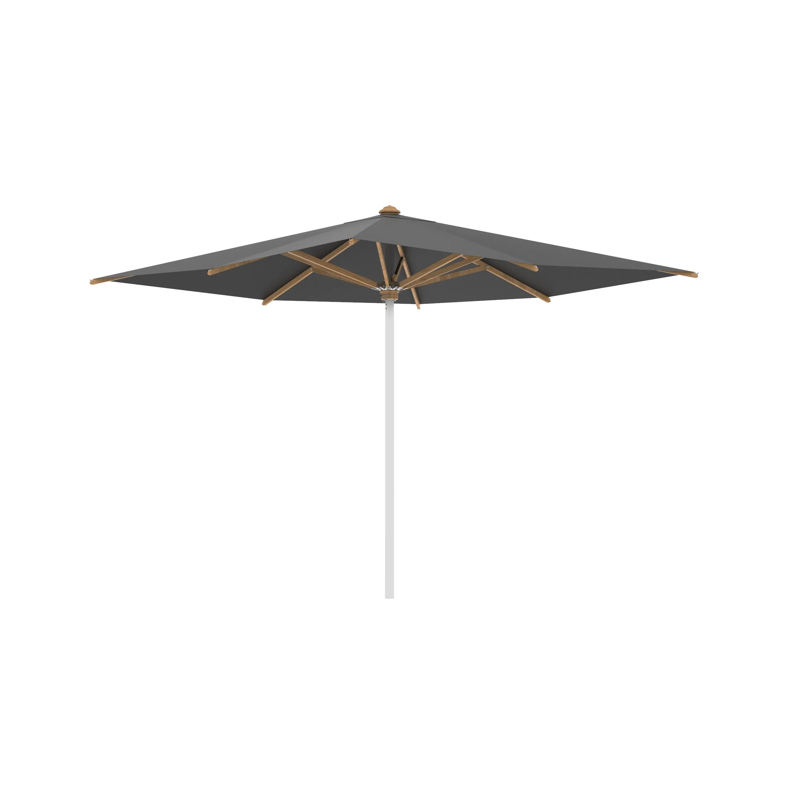 Shady Square Umbrella with Teak Ribs