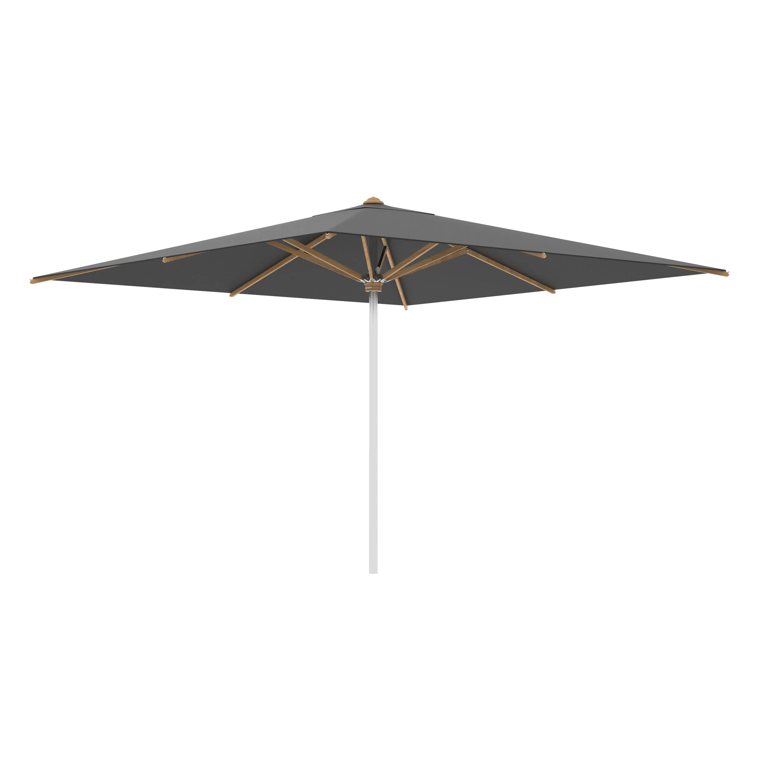 Shady Square Umbrella with Teak Ribs