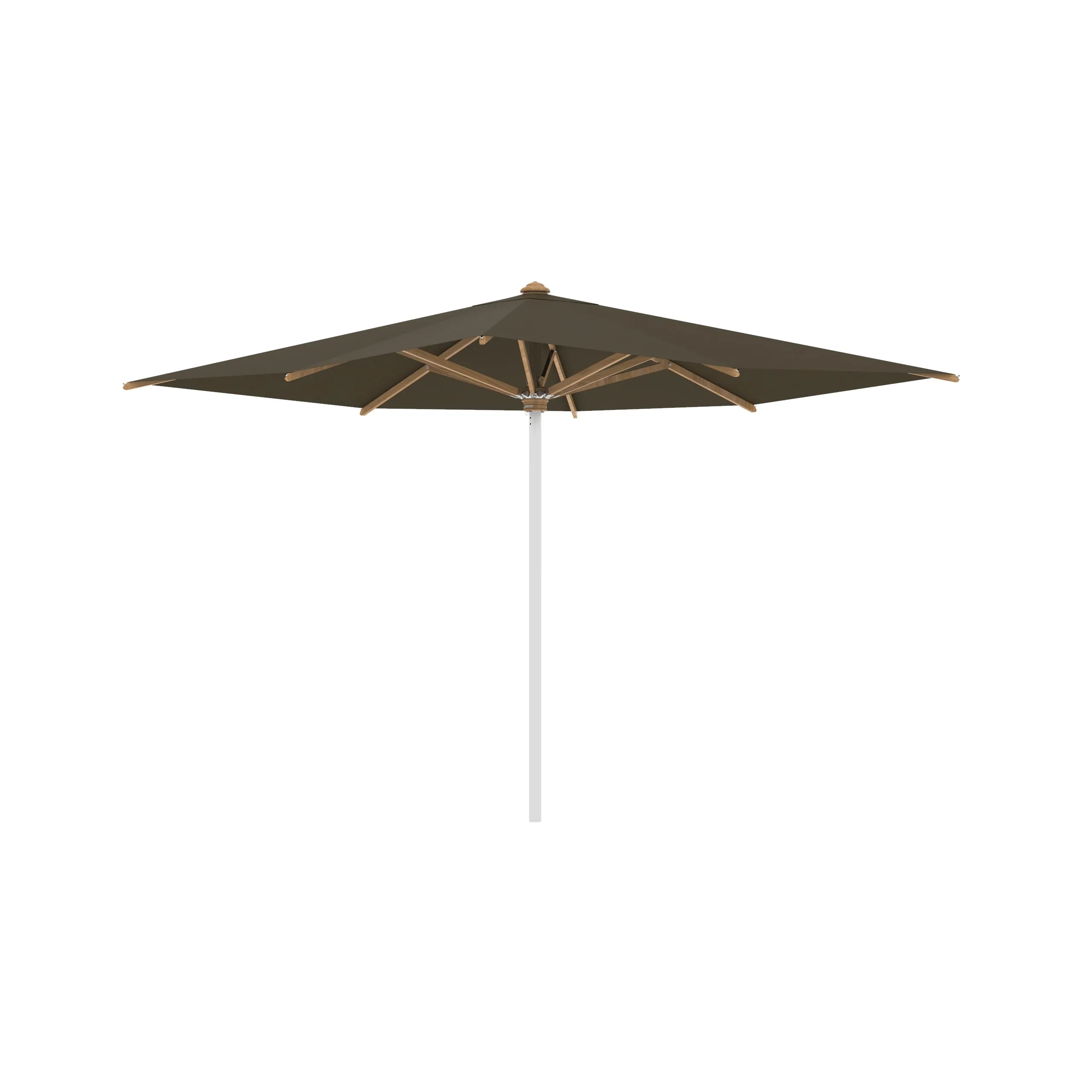 Shady Square Umbrella with Teak Ribs