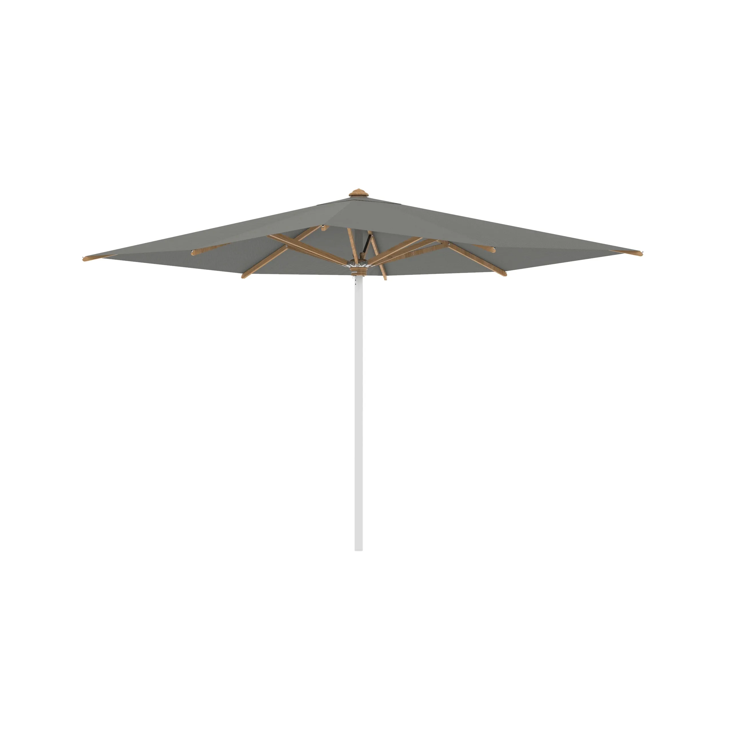 Shady Square Umbrella with Teak Ribs