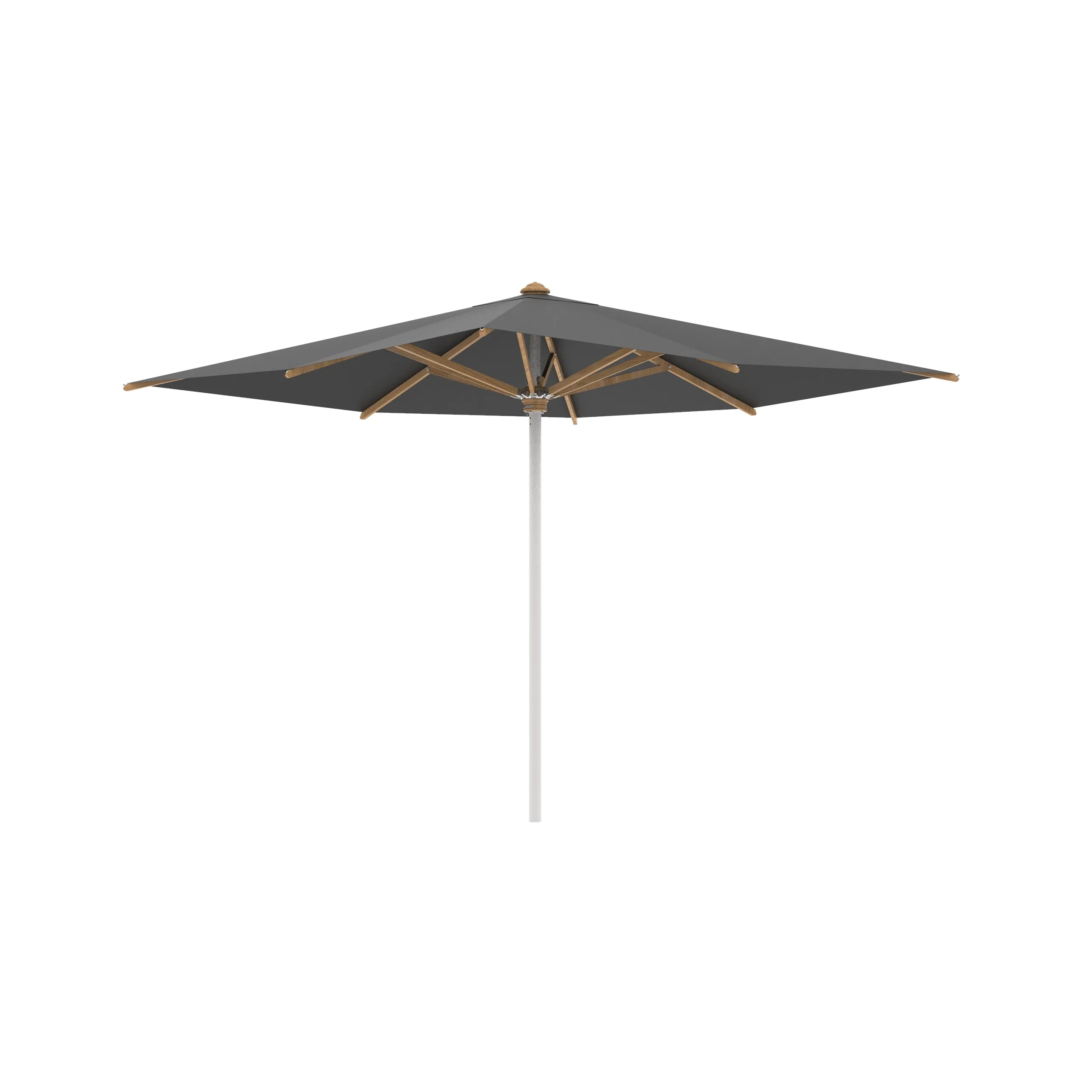 Shady Square Umbrella with Teak Ribs