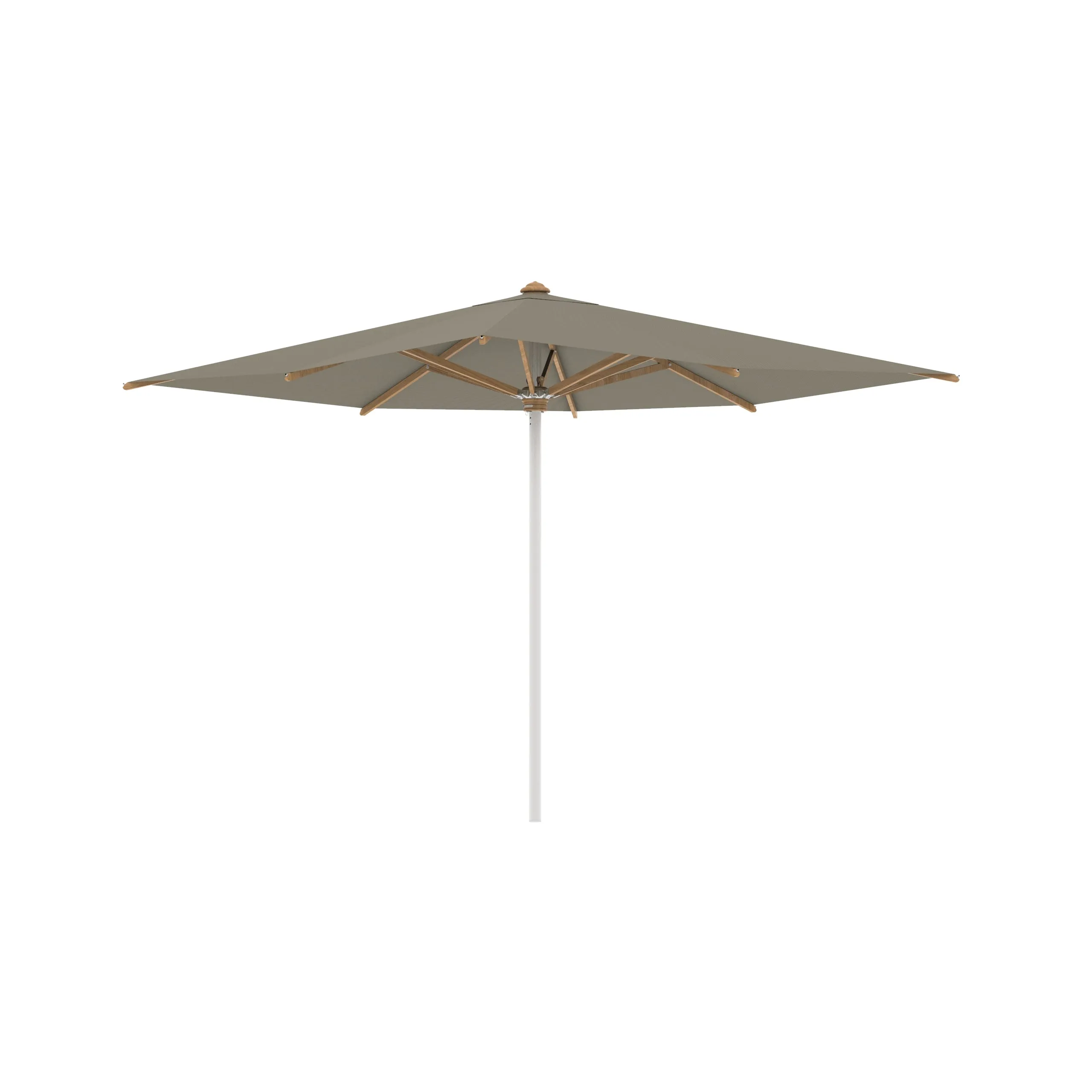 Shady Square Umbrella with Teak Ribs