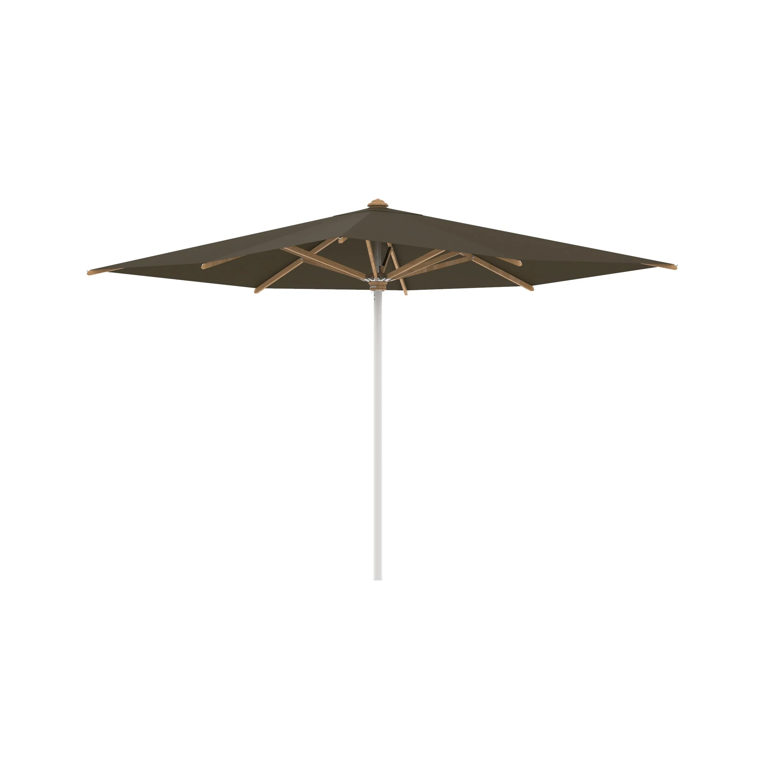 Shady Square Umbrella with Teak Ribs