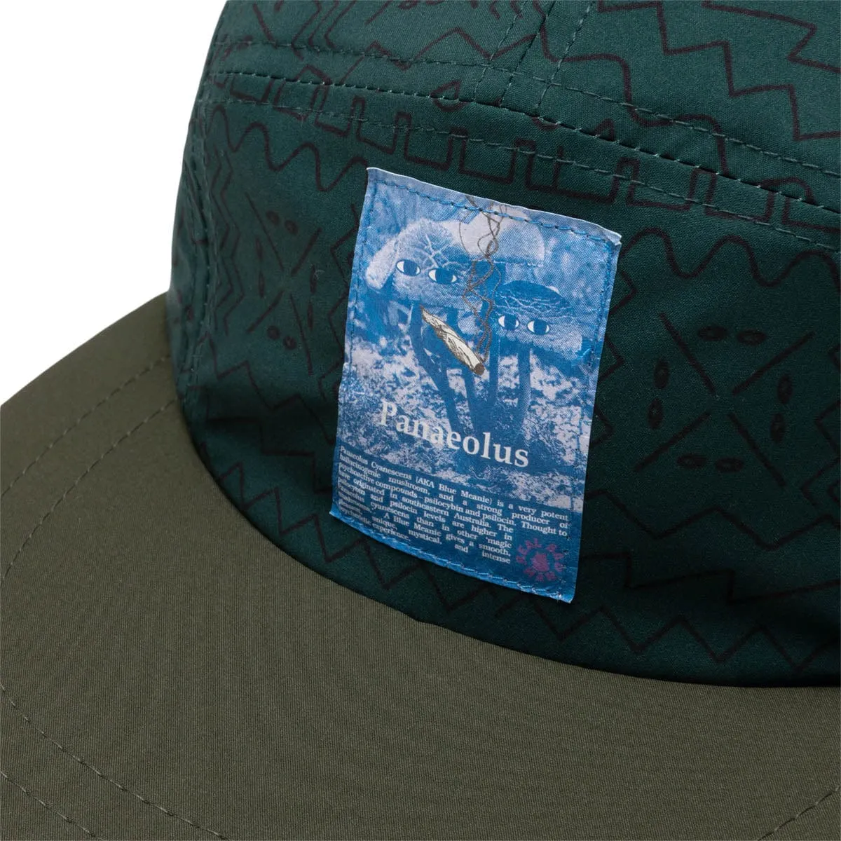 SHROOMER 4 PANEL HAT