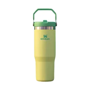 Stanley IceFlow™ Flip Straw Tumblers 30oz Citron