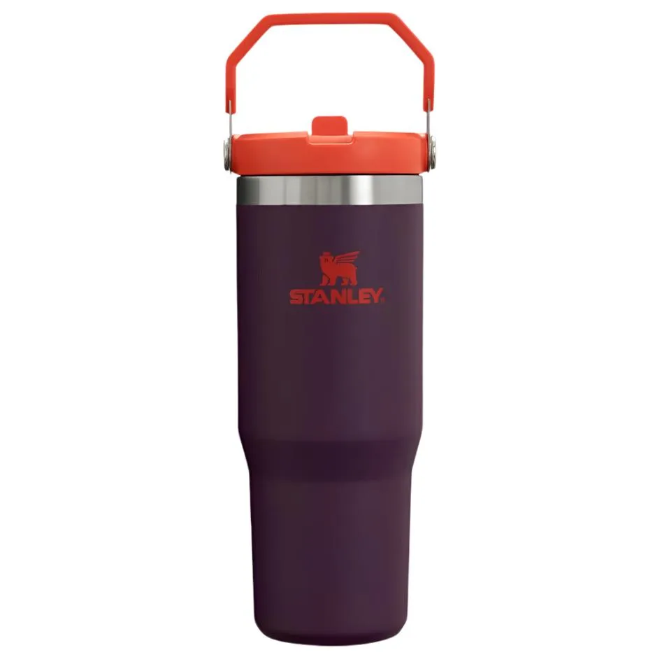 Stanley IceFlow™ Flip Straw Tumblers 30oz Plum